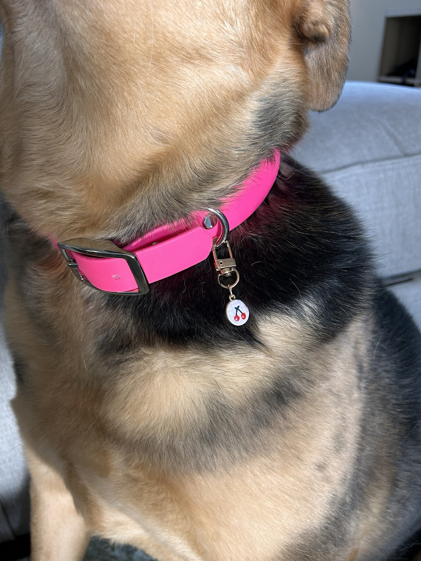 Collar Charm - Your Lobster