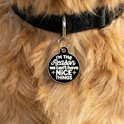 QR ID Tag - I'm The Reason We Can't Have Nice Things