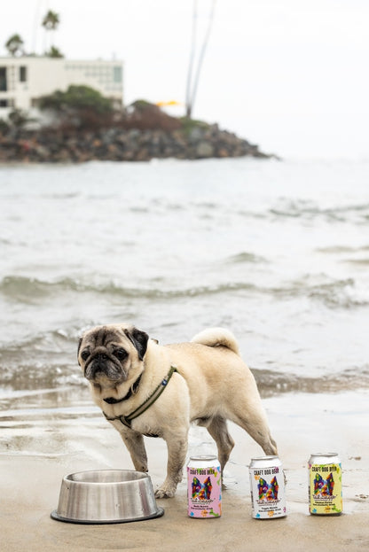 Tailwagger Craft Dog Beer