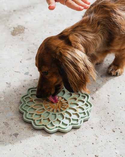 Sage Blossom Dexypaws Enrichment Lick Mat