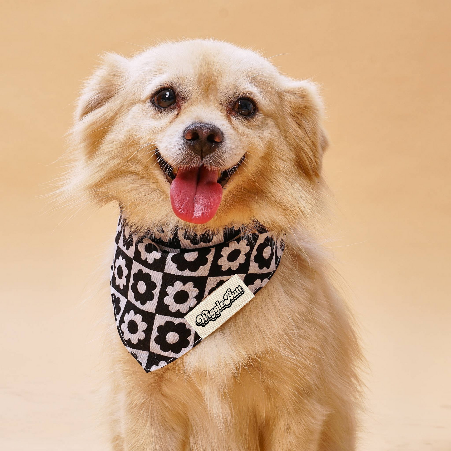 Midnight Meadow Dog Bandana