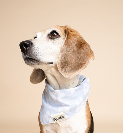 Noah Dog Bandana