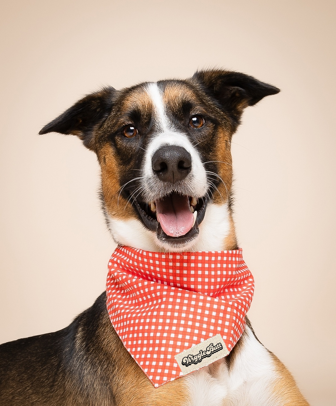 Red Gingham Dog Bandana