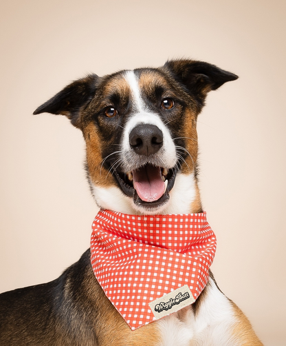 Red Gingham Dog Bandana
