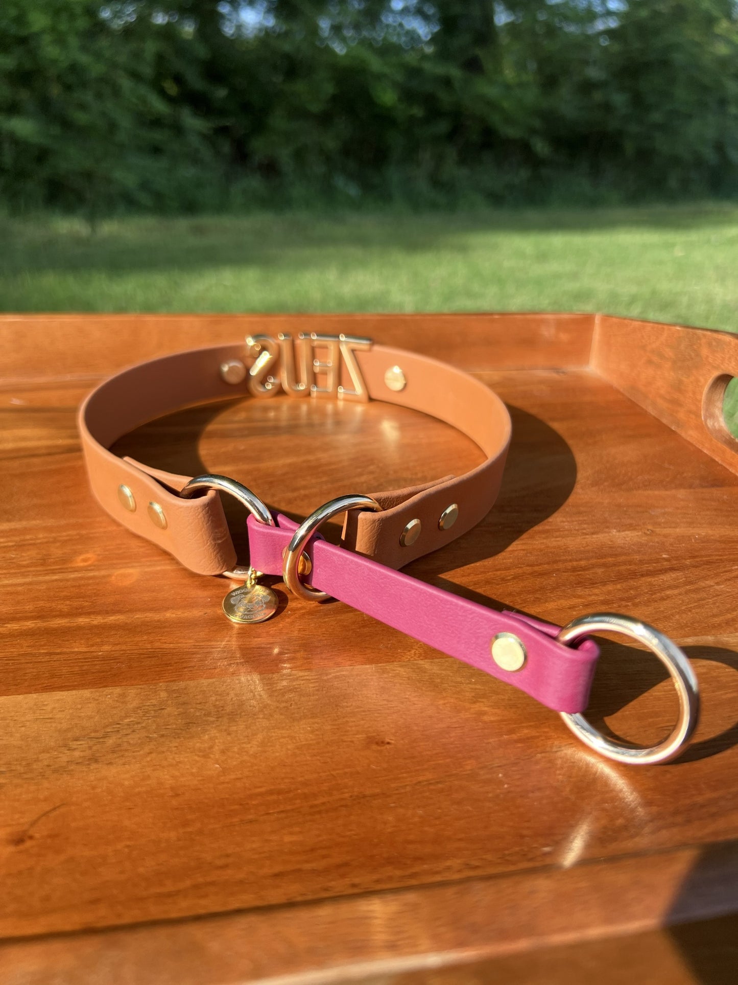 Biothane Slip Collar