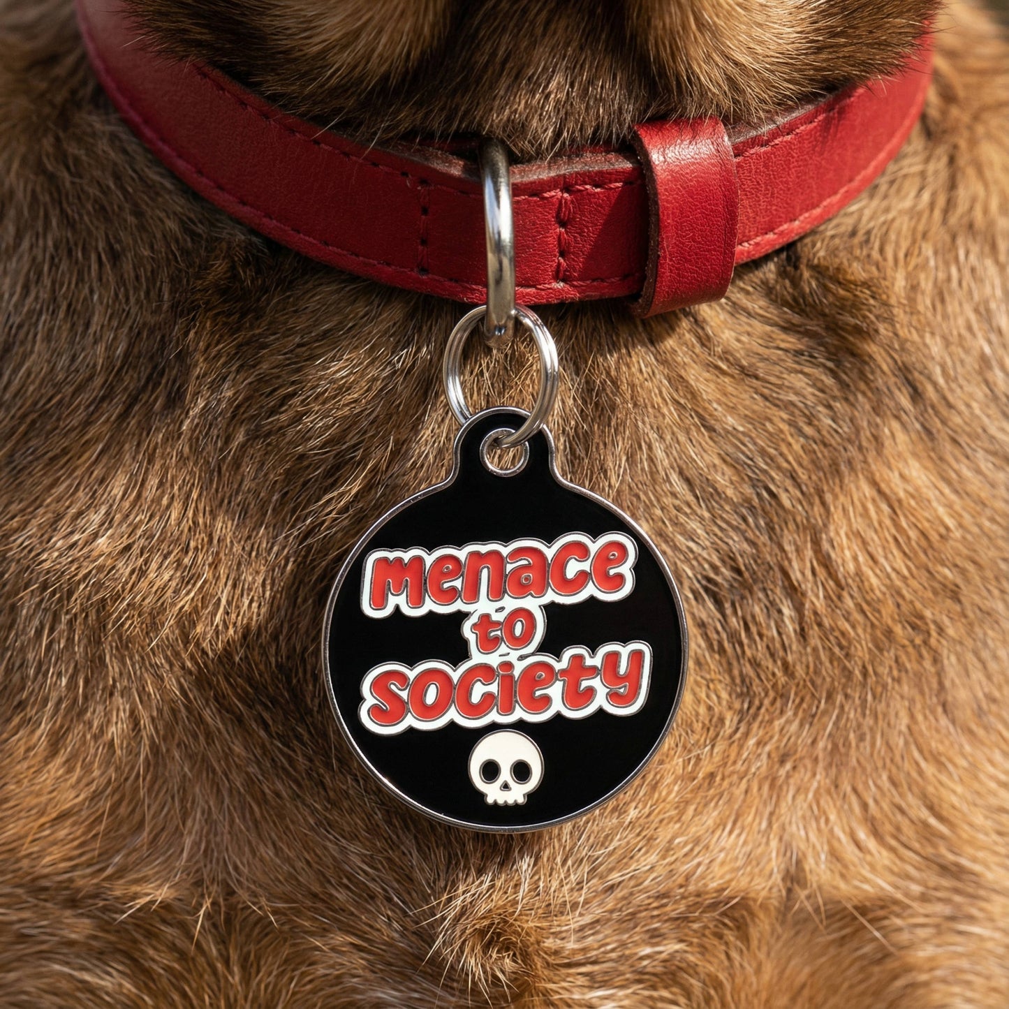 QR ID Tag - Menace to Society