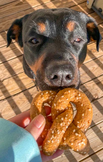 Parmesan Pretzel Dog Biscuit