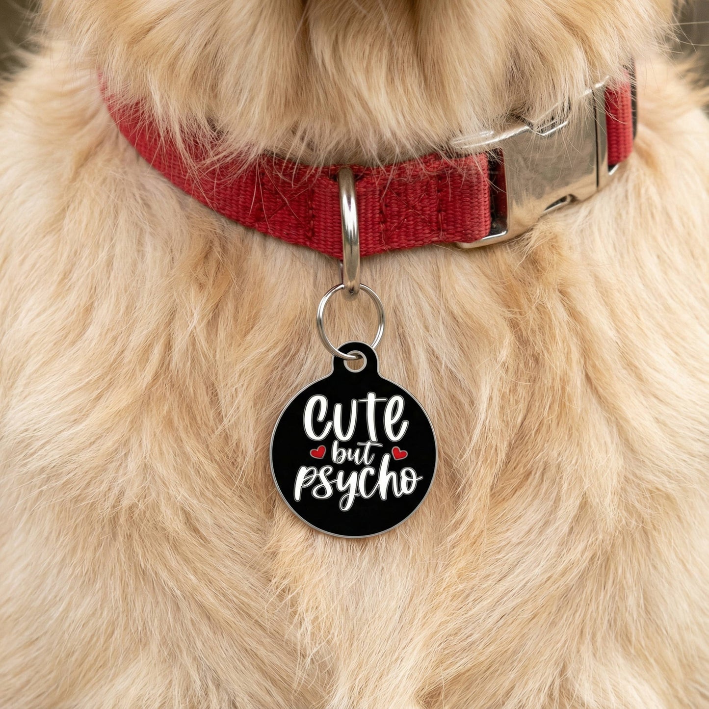 QR ID Tag - Cute but Psycho