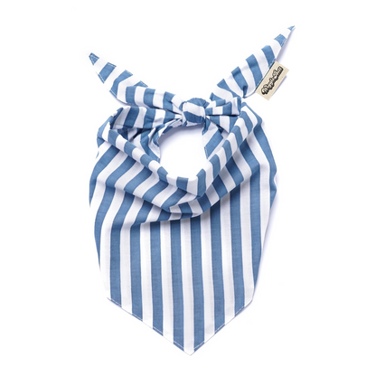 Harbour Dog Bandana