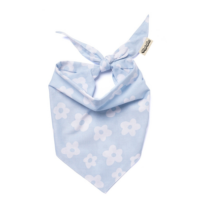 Noah Dog Bandana