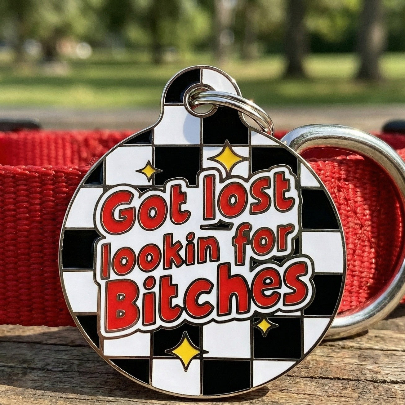 QR ID Tag - Got Lost Looking for Bitches